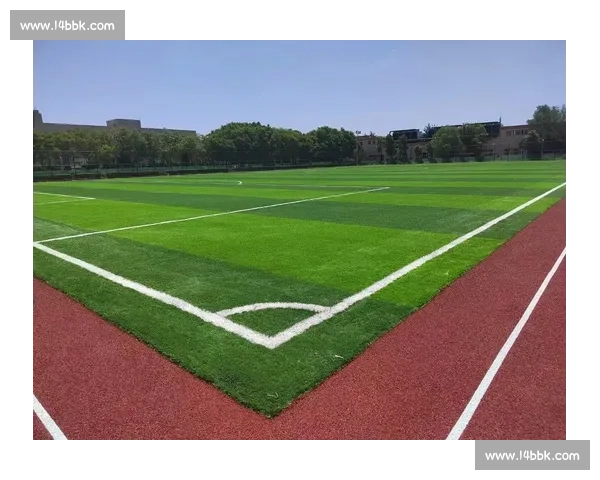 以足球草坪为核心的城市绿色智慧运动空间建设策略研究探索新途径